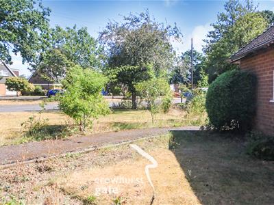 Picture 17